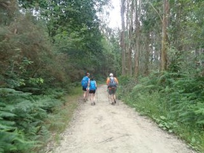 Peregrinos caminando por el Camino Inglés hacia Santiago
