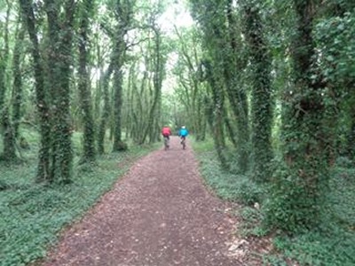 Llegada a Santiago de Compostela por el Camino Inglés