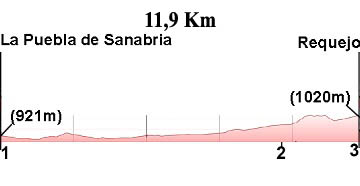 Profile 9.Puebla de Sanabria-Requejo